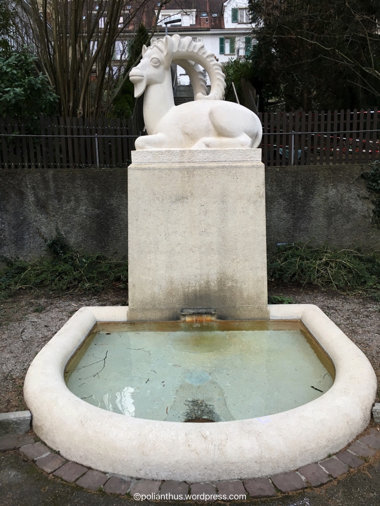 Capricorn fountain 1